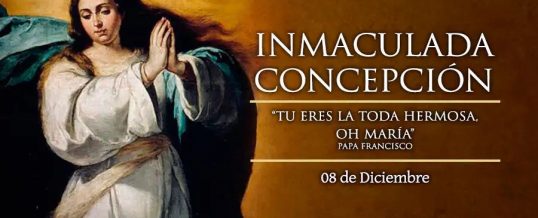 Festividad Inmaculada Concepción
